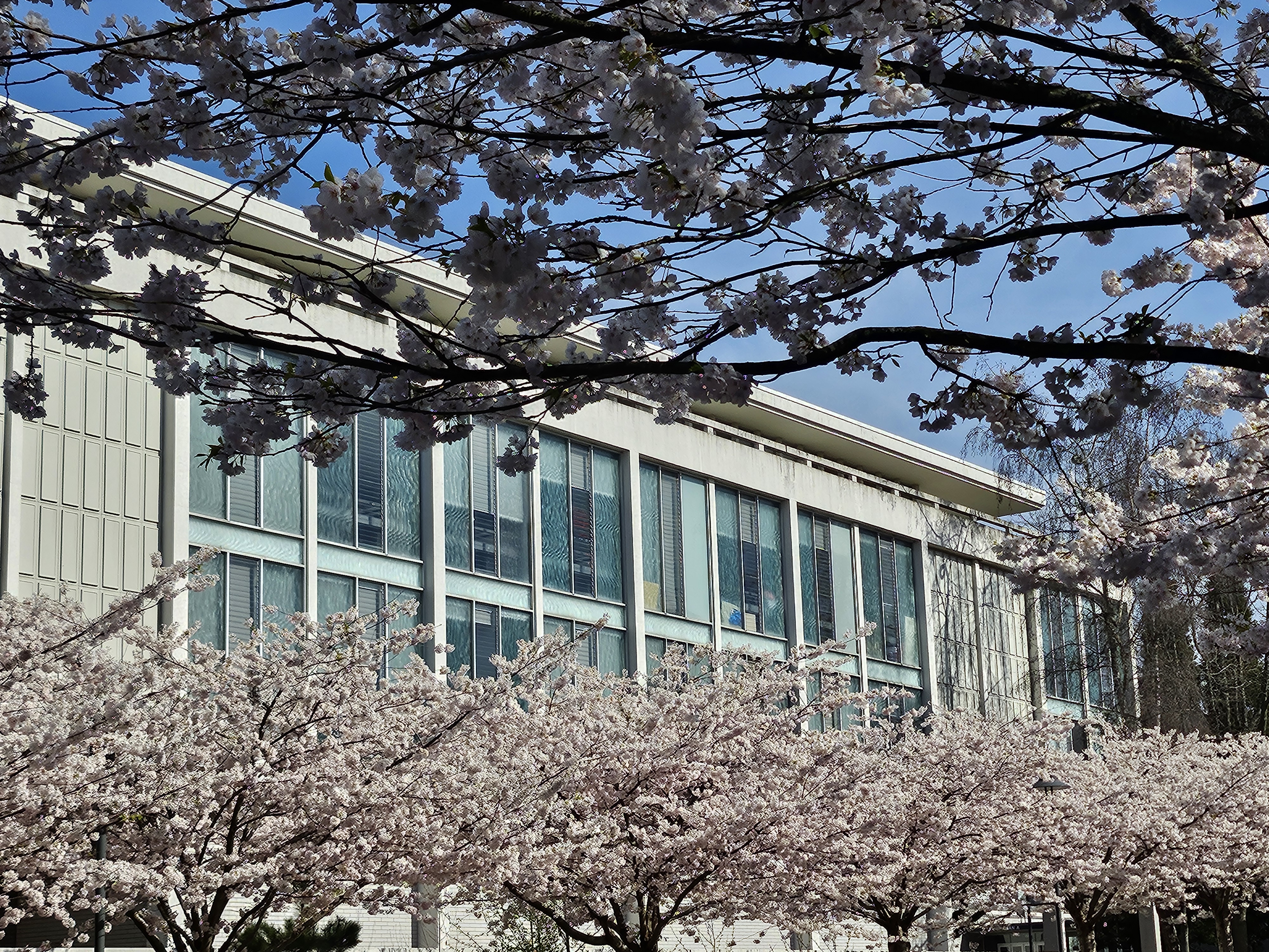UBC